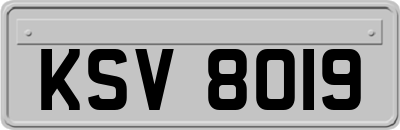 KSV8019