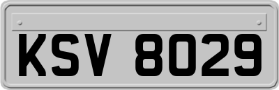 KSV8029