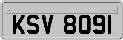 KSV8091