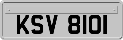 KSV8101