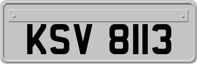 KSV8113