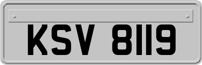 KSV8119