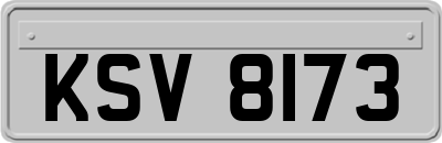 KSV8173