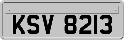 KSV8213