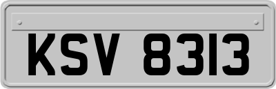 KSV8313