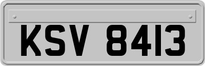 KSV8413