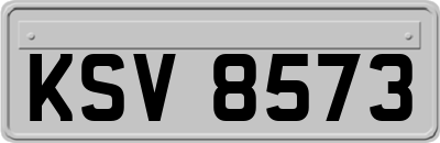 KSV8573
