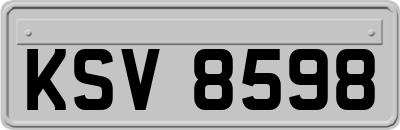 KSV8598