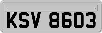 KSV8603