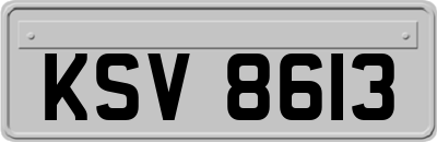 KSV8613