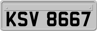 KSV8667