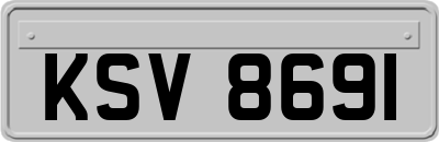 KSV8691