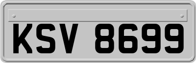 KSV8699