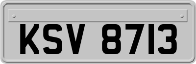 KSV8713