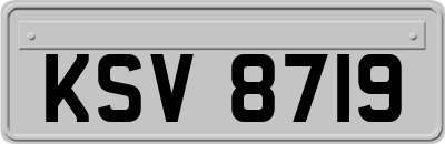 KSV8719