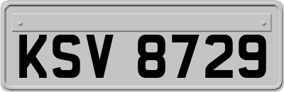 KSV8729