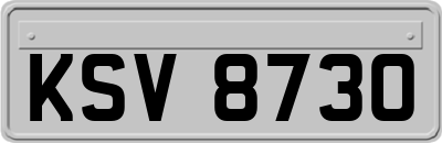 KSV8730
