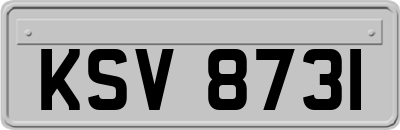 KSV8731