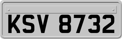 KSV8732