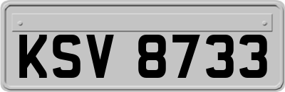KSV8733