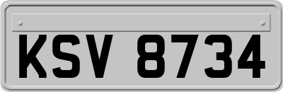 KSV8734