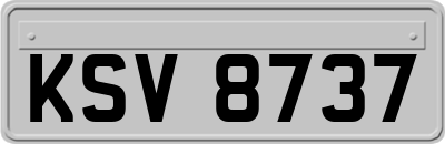 KSV8737