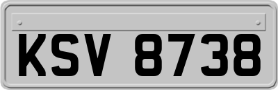 KSV8738