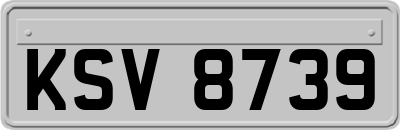 KSV8739