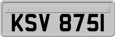 KSV8751