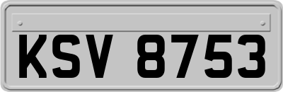 KSV8753