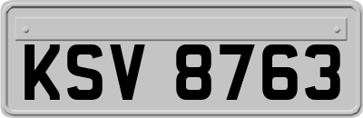 KSV8763
