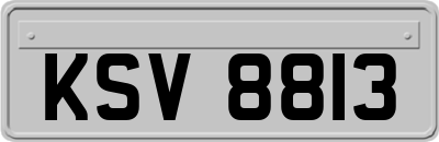 KSV8813