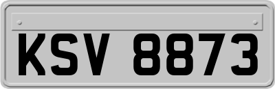 KSV8873