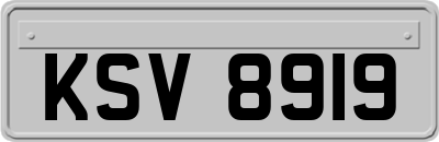 KSV8919