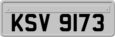KSV9173