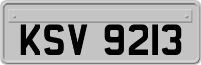 KSV9213