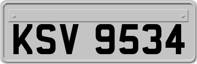 KSV9534