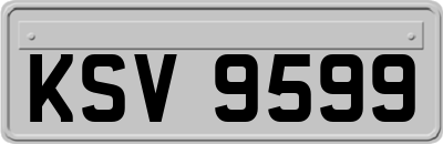 KSV9599
