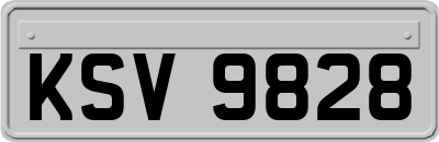 KSV9828