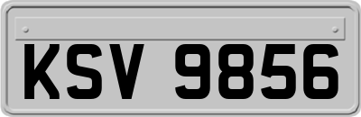 KSV9856