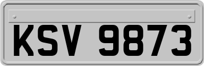 KSV9873