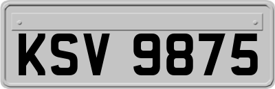 KSV9875