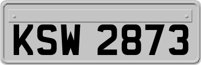 KSW2873