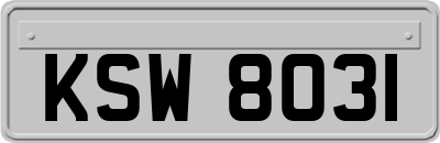 KSW8031