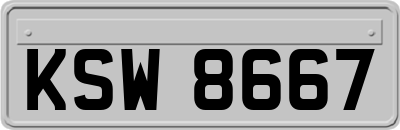 KSW8667