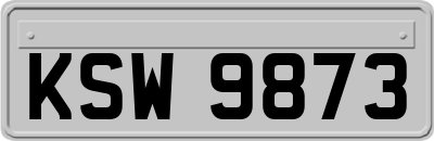 KSW9873