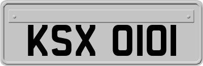KSX0101