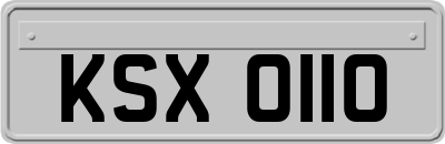 KSX0110