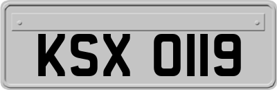 KSX0119