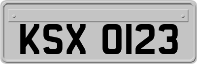 KSX0123